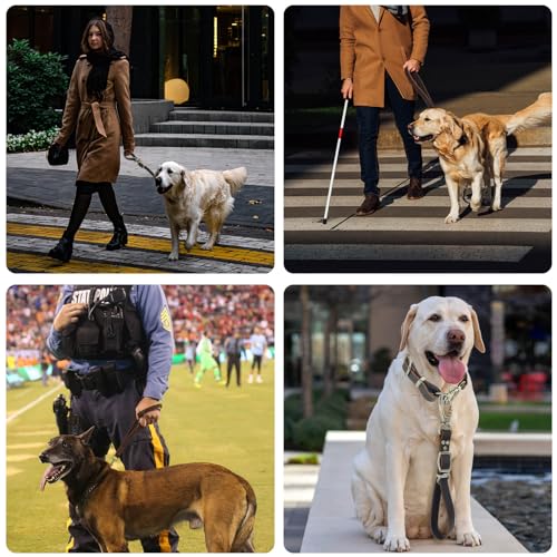 Leather Short Dog Leash (Width: 1.0" Length: 14-25")