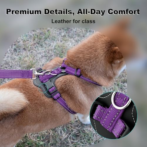 No Pull Dog Harness with Leather Accents (L / Purple)