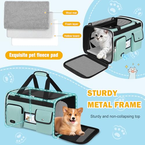 Large Cat Carrier Travel Soft Sided Pet Carrier Airline Approved (Green)