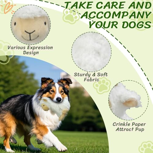Squeaky Stuffed Dog Toys (White)