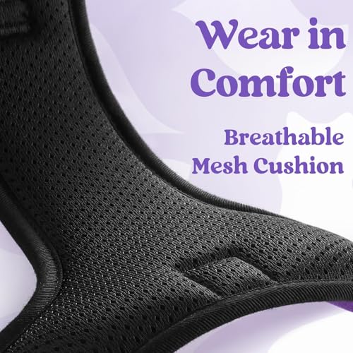 Dog Harness Small Sized (Small / Purple)