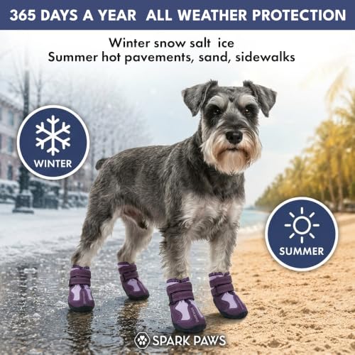 365 Dog Shoes (365 Purple / Size 3: 2"x2.36"(W*L) (Pack of 4))