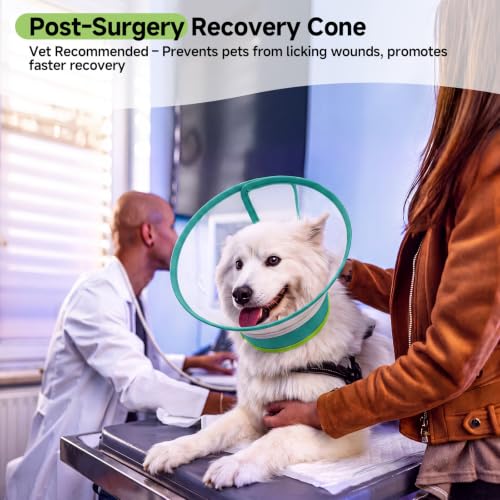 Dog Cone Collar to Stop Licking (Green / S)