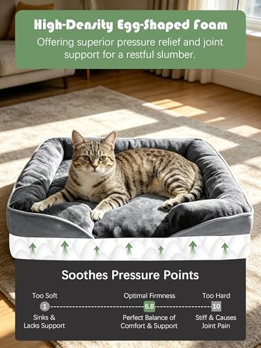 Orthopedic Dog Bed with Sides (24.0"L x 18.0"W x 6.0"Th / Grey)