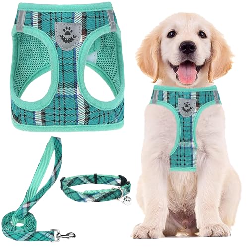 Dog Harness Collar and Leash Set No Pull for Small Medium Sized (Lake Green / M (CHEST 16"-18"))