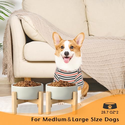 Ceramic Elevated Dog Bowls 2 Pack (Medium - 3.6 CUPS*2 / Grey)