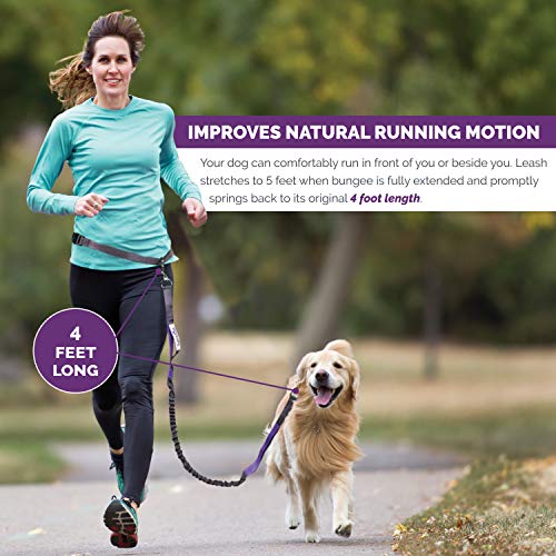 Hands Free Waist Leash for Dog Walking (Carabiner/Green)