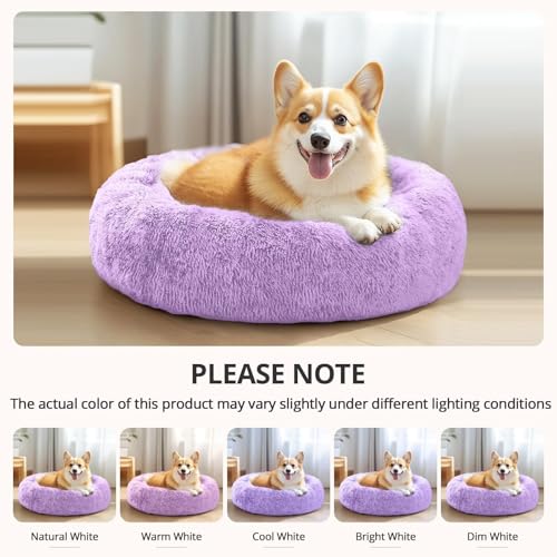 Calming Dog Bed Medium Size Dog (Purple / 31.0"L x 31.0"W x 8.0"Th)