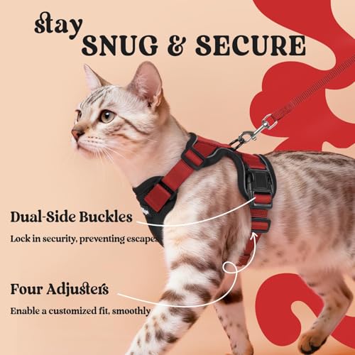 Cat Harness and Leash Set (S / Black & Red)