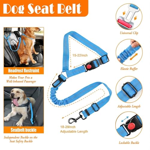 No Pull Dog Harness (Medium / Blue)