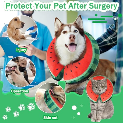 Recovery Donut Collar for Dogs & Cat (Watermelon / XL（neck 18"-23"）)