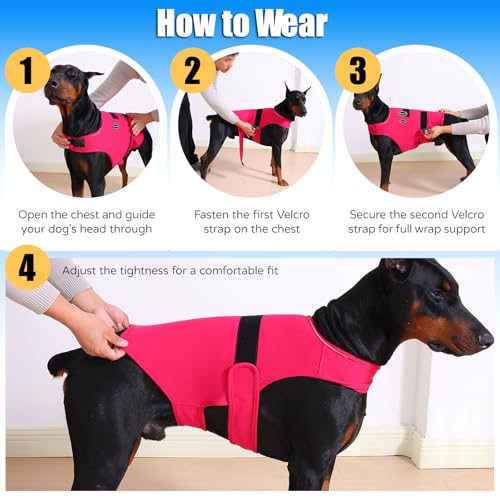 Dog Anxiety Vest (2XL-Chest(26"-36") / Rose)