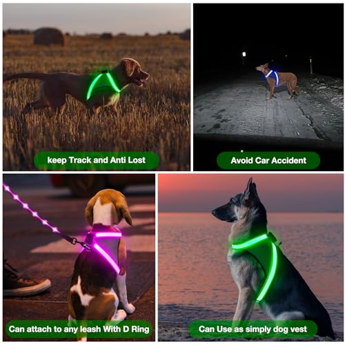Light Up Dog Harness (Small / Green)