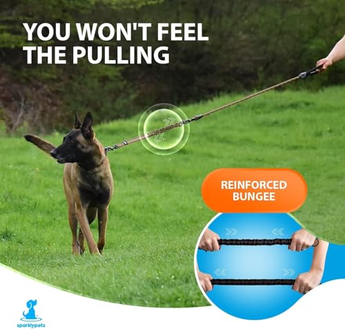 Heavy Duty Bungee Rope Leash (Black)