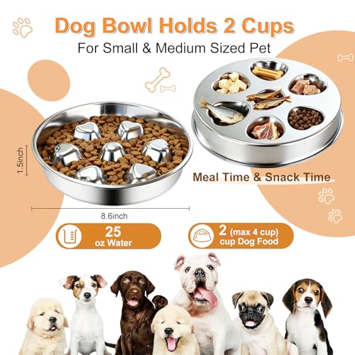 2 Pack Stainless Steel Slow Feeder Dog Bowls
