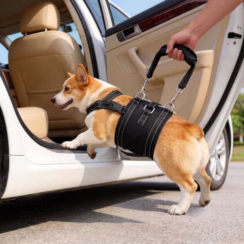 Adjustable All Dog Lift Harness for Large Dogs (Black (Female & Male) / Small)