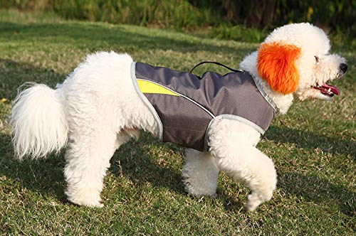 Dog Anxiety Jacket (Gery / XS)