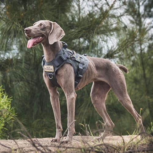 Tactical Dog Harness Vest No (X-Small / Grey)