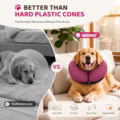 Inflatable Dog Cone (Rose / S(9"-10"))