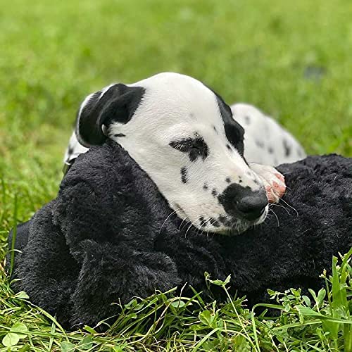 Heartbeat Dog Toy for Puppies (Black / 1 Count (Pack of 1))