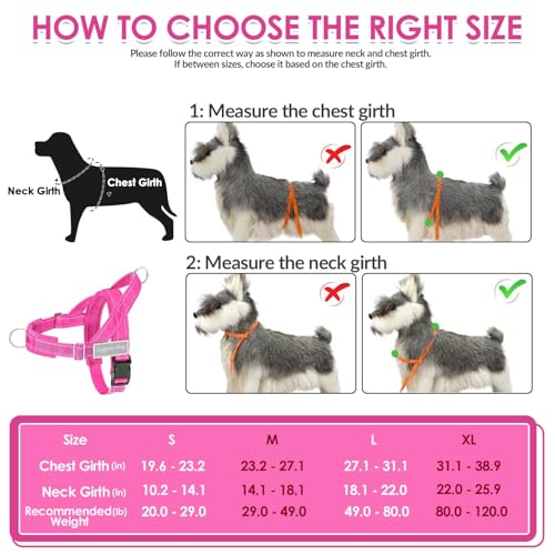 No Pull Dog Harness and Leash Set (Fuchsia / Medium)