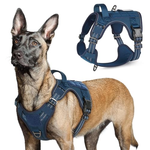 Tactical Dog Harness for Large (Blue / Large)