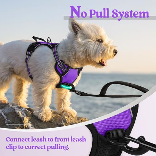 Dog Harness No Pull with 2 Leash Clips (X-Small / Purple)
