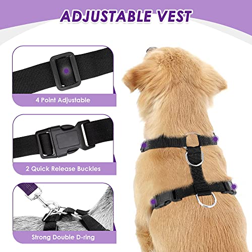 Dog Car Harness Seat Belt (XXX-Small / Purple)