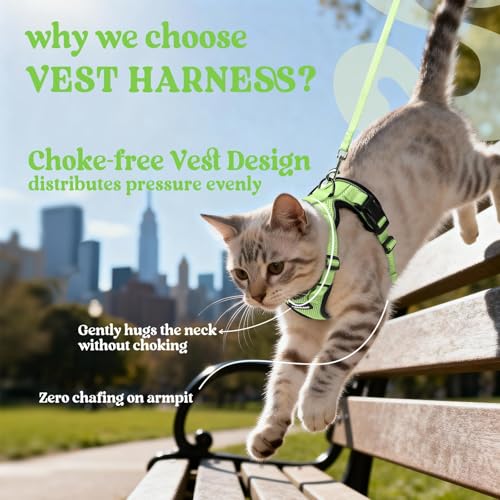 Cat Harness and Leash Set (Xxs / Light Green)