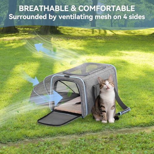 Small Expandable Cat Carrier for Air Travel (16"L x 10"W x 9"H / Light Gray)