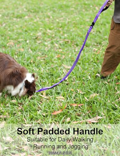 Heavy Duty Dog Leash (Blue)