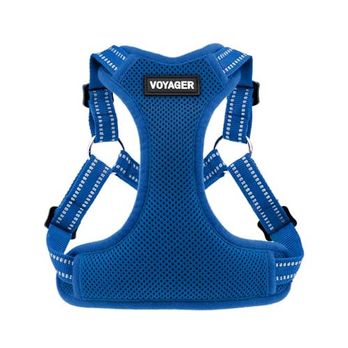Voyager Step in Flex Adjustable Dog Harness (Harness (Royal Blue) / XS)