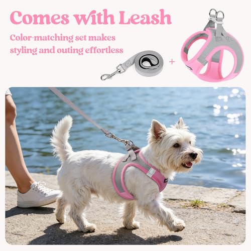 Dog Harness Small Sized and Leash Set (Light Pink & Gray / S (chest: 15.1 - 16.5"))