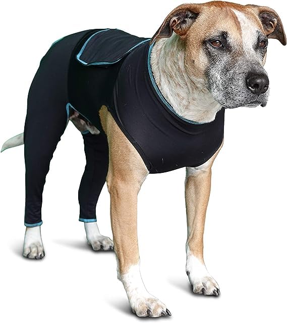 Therapeutic Comfort Suit for Dogs (Small)
