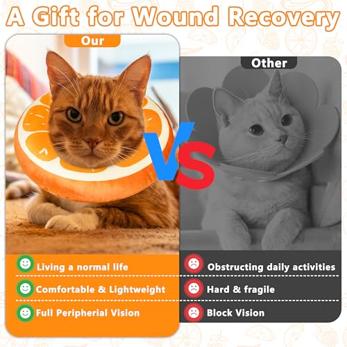 Cat Cone Collar Soft (Orange / Large)