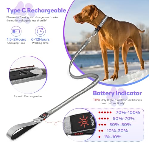 Light Up Dog Leash (Grey)