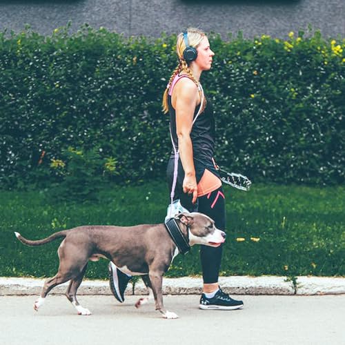 9-in-1 Hands Free Dog Leash Crossbody/Waist Purple Large Dogs (Vine Purple / Large - 9mm Diameter - 20-120lbs)