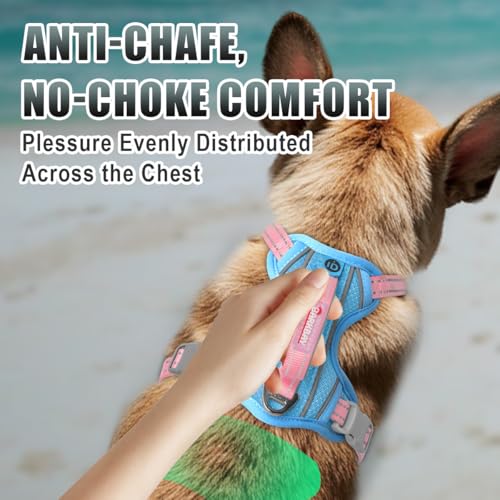 Dog Harness for Small Sized Dog No Pull Dog Vest ID Tag Pocket (Baby Blue & Baby Pink / Small)