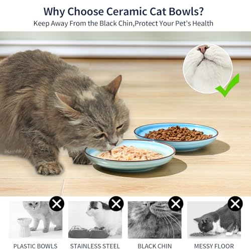 6 Inch Ceramic Cat Bowls (6 Inch, Set of 6 / Gradient Blue)