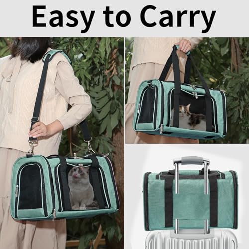 Soft Sided Cat (Turquoise / 20"L x 13"W x 13"H)