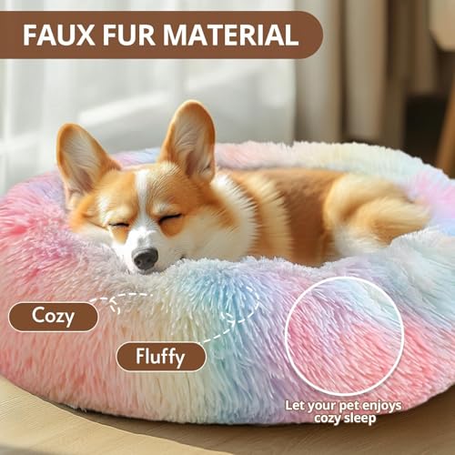 Calming Small Dog & Cat Bed for Indoor Cats (Rainbow / 20.0"L x 20.0"W x 6.0"Th)