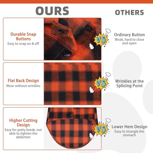 Fall Dog Shirt (Medium / Orange)