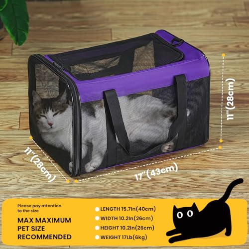 Cat Carrier Bag (M / Purple)