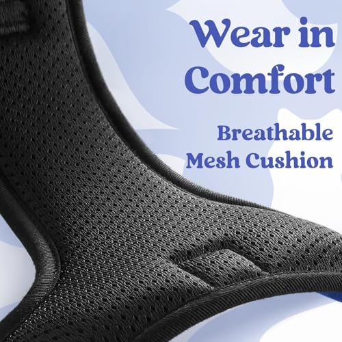 Dog Harness for Large (Large / Blue)