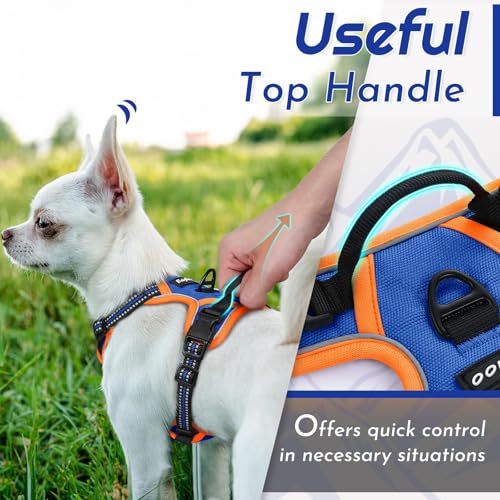 Dog Harness for Small Dogs (X-Small / Blue & Orange)