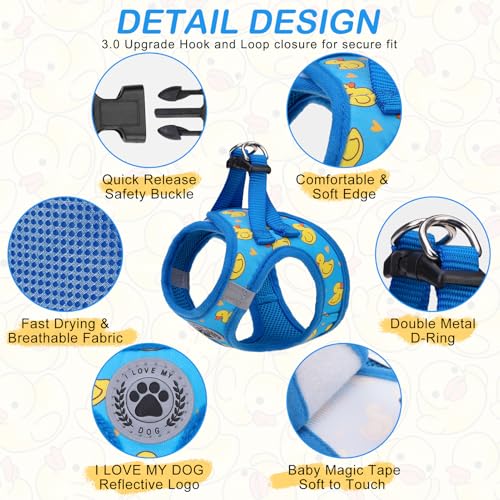 Small Dog Harness and Leash Set (Small(Chest Girth 14.5" - 16") / Duck Blue)
