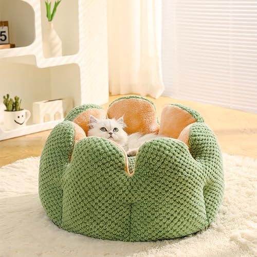 Cute Cat Beds Kitten Beds (Medium / Green)