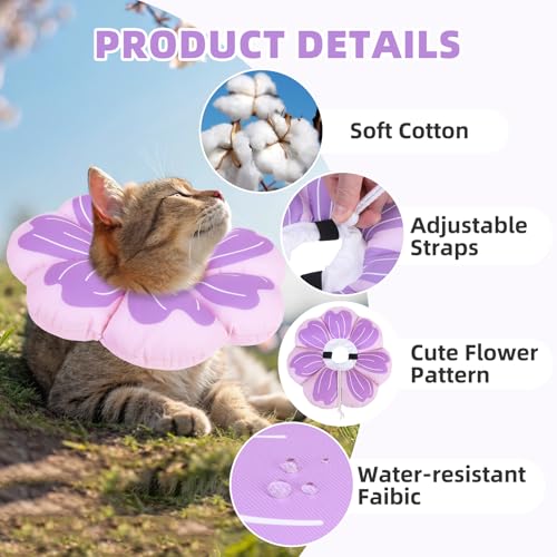 Cat Cone Collar (Purple / M - Neck Up to 10.5")