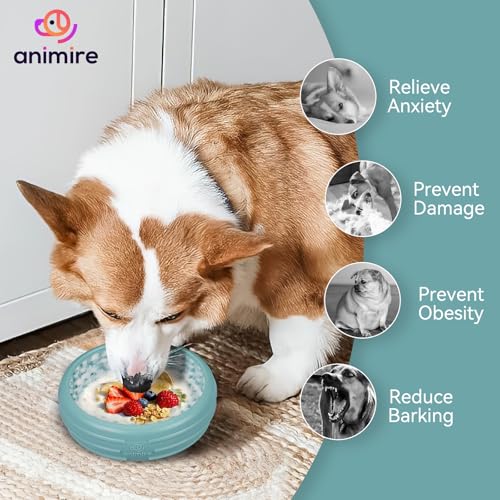 Dog Lick Bowl (L / Teal)