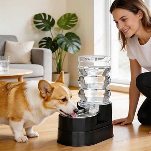 7L Raised Dog Water Dispenser (7L / Classic Black)